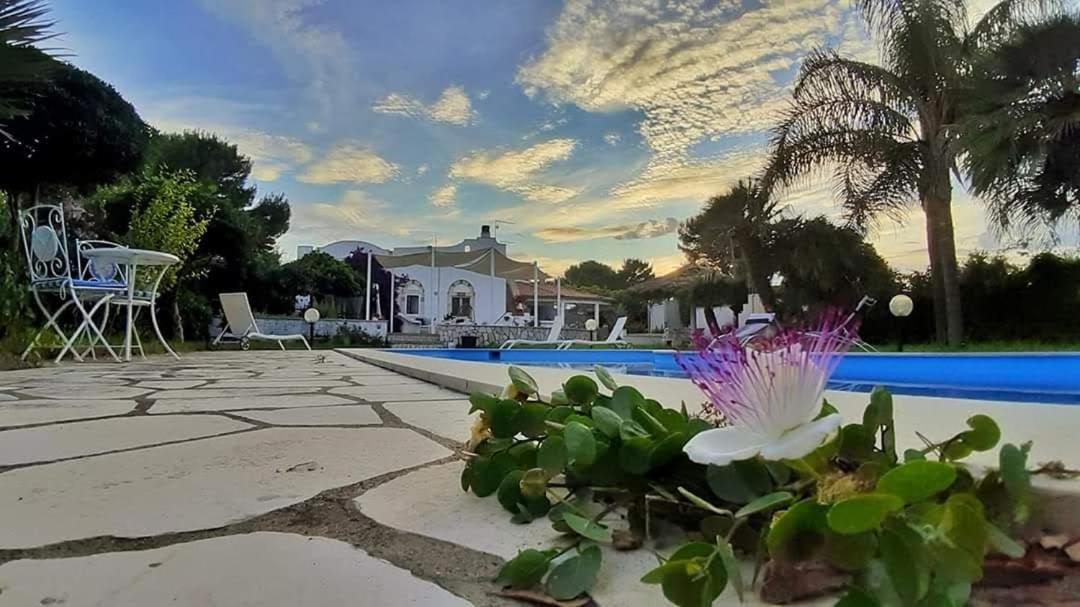 B&B Le Vele Maruggio Ngoại thất bức ảnh